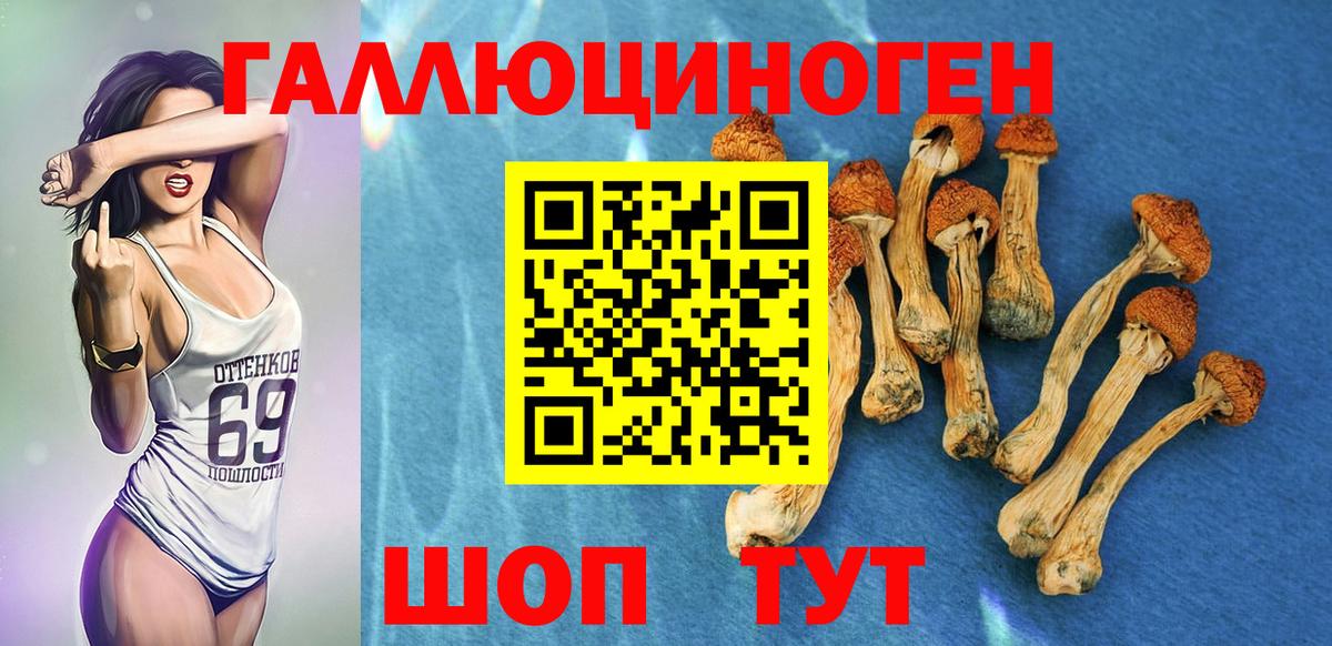 Псилоцибиновые грибы Psilocybine cubensis  Вход с VPN  Орёл  Галлюциногенные грибы Psilocybine cubensis 